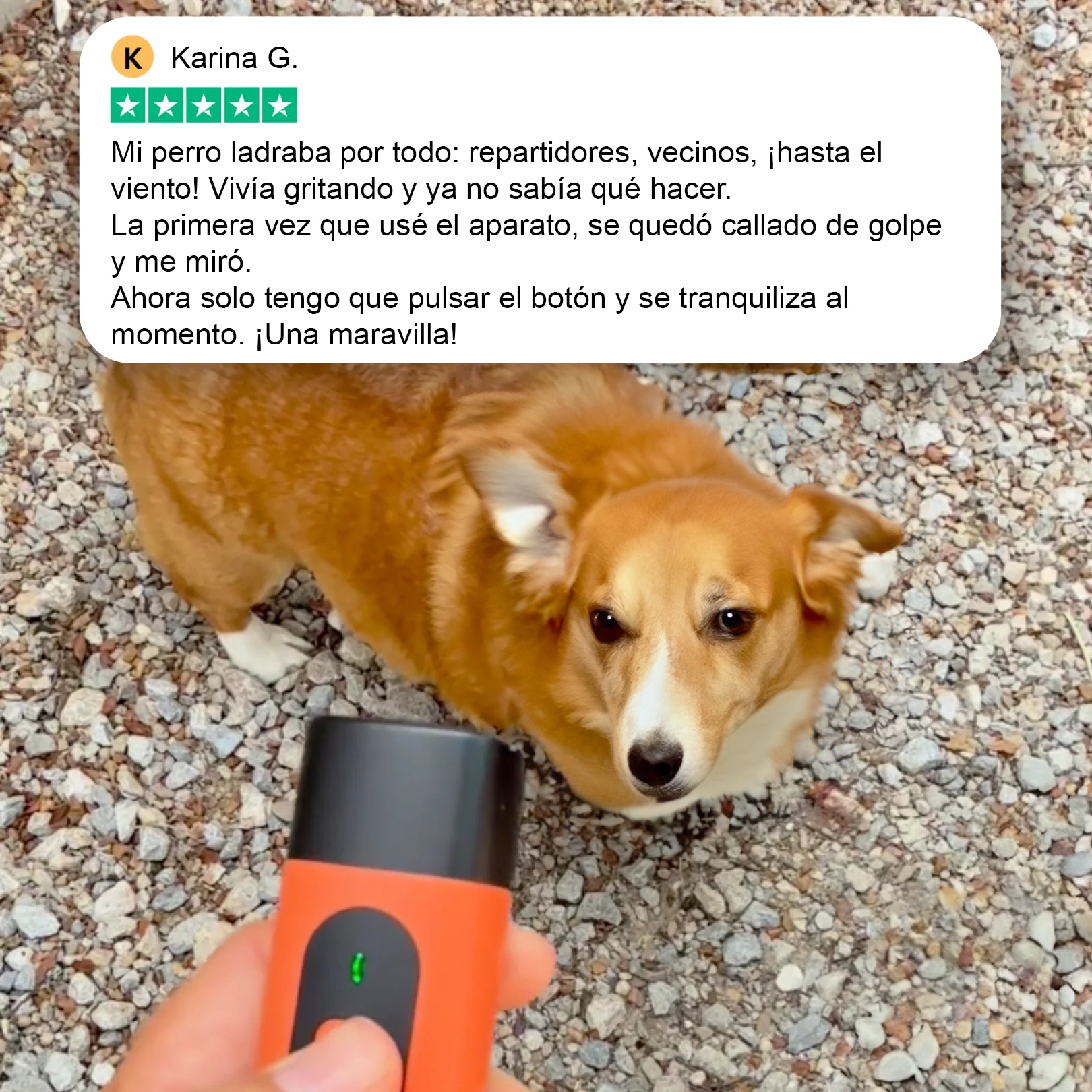 NoLadra+ – Entrenamiento ultrasónico suave para reducir los ladridos