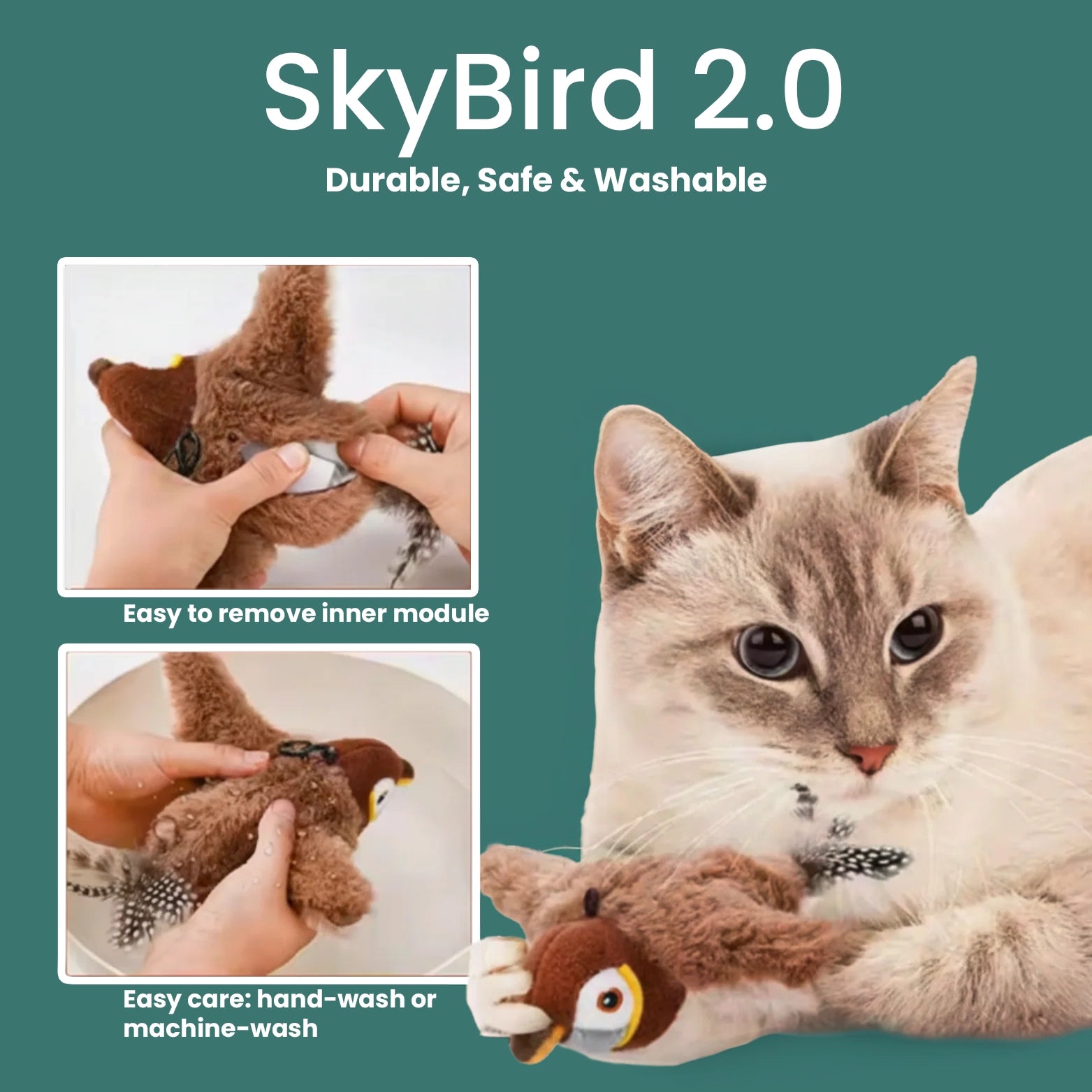 SkyBird 2.0